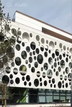 Planches de revêtement métallique panneaux perforés en aluminium découpés au laser revêtement expansé couverture de rideau de façade pour vue 6