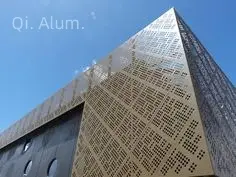 Planches de revêtement métallique panneaux perforés en aluminium découpés au laser revêtement expansé couverture de rideau de façade pour vue 3